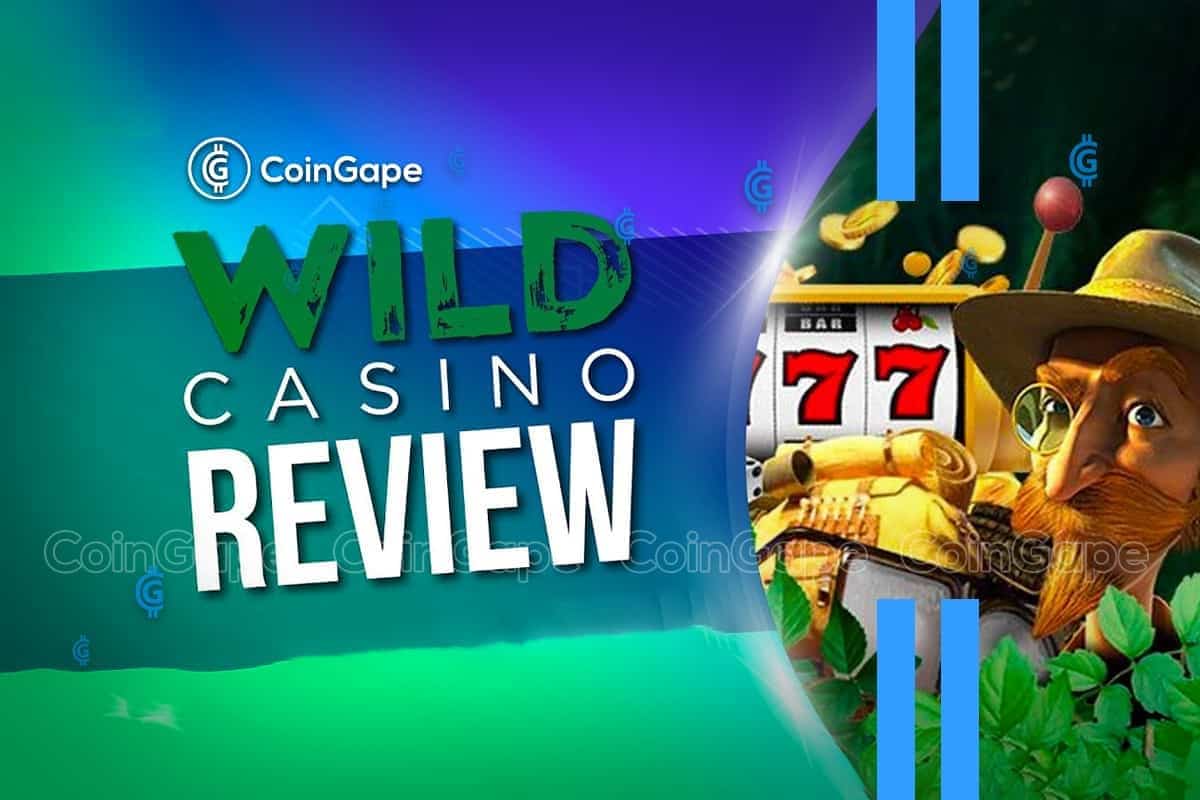 Full Testimonial of Wild Online Casino